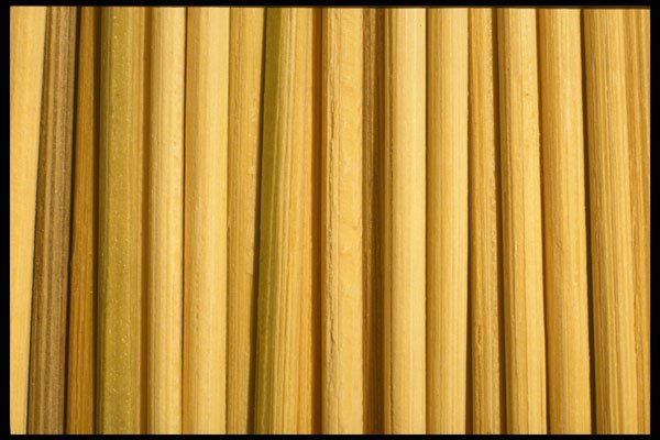356084 Bamboo Sticks A4 Photo Print