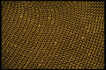 356085 Cardboard Curve A4 Photo Print