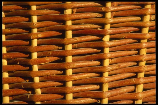 356088 Twig Basket A4 Photo Print