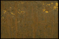 356092 Rust With Yellow Flecks A4 Photo Print