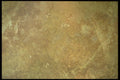 356094 Light Oxidized Copper A4 Photo Print