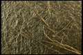 356095 Rough Silver With Gold Veins A4 Photo Print