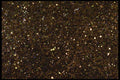 356096 Dark Glitter A4 Photo Print