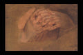 357006 Praying Hands , Sir Peter Paul Rubens A4 Photo Print