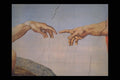 357088 The Creation , Michelangelo A4 Photo Print
