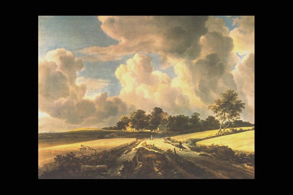 358099 Wheatfields , Jacob Van Ruysdael A4 Photo Print