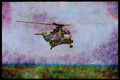 359005 Sikorsky CH 124A Seaking, Canadian Armed Forces A4 Limited Edition Watercolour Print