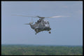 359005 Sikorsky CH 124A Seaking, Canadian Armed Forces A4 Photo Print