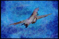 359009 Rockwell International B 1B Lancer, U.S. Air Force A4 Limited Edition Watercolour Print