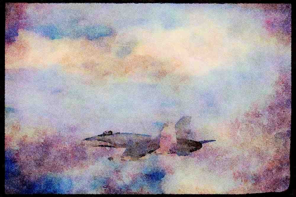 359014 McDonnell Douglas CF 18A Hornet, Canadian Armed Forces A4 Limited Edition Watercolour Print