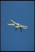 359017 McDonnell Douglas CF 18A Hornet, Canadian Armed Forces A4 Photo Print