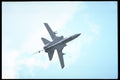 359021 Panavia Tornado F. Mk 3, Royal Air Force A4 Photo Print