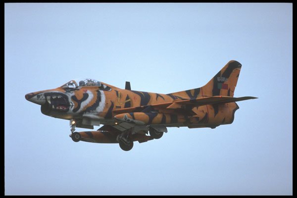 359026 Fiat G91 R 3, Portuguese Air Force A4 Photo Print
