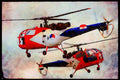 359027 Aerospatiale SA 316B Alouette III, Royal Netherlands Army A4 Limited Edition Watercolour Print
