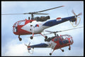 359027 Aerospatiale SA 316B Alouette III, Royal Netherlands Army A4 Photo Print