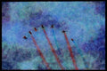 359052 BAe Hawk T. Mk 1A, The Red Arrows, Royal Air Force A4 Limited Edition Watercolour Print