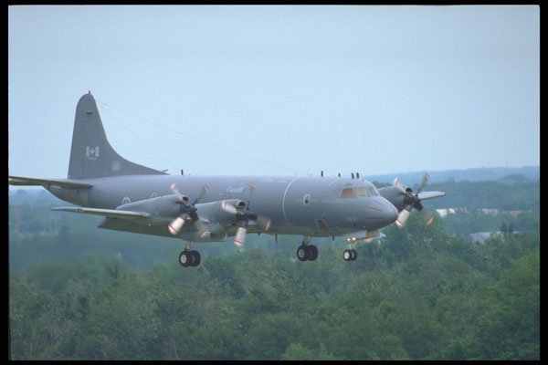 359061 Lockheed CP 140 Aurora, Canadian Armed Forces A4 Photo Print