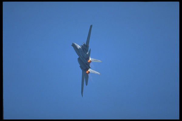 359063 Grumman F 14B Tomcat, U.S. Navy A4 Photo Print