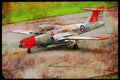 359072 Canadair CT 114 Tutor, Canadian Armed Forces A4 Limited Edition Watercolour Print