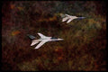 359086 Panavia Tornado F. Mk 3, Royal Air Force A4 Limited Edition Watercolour Print