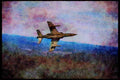 359093 Dornier Alpha Jet A, German Air Force A4 Limited Edition Watercolour Print