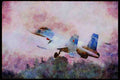 359094 Sukhoi SU 27 'Flanker', Soviet Air Force A4 Limited Edition Watercolour Print
