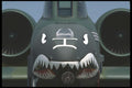 359097 Fairchild Republic A 10A Thunderbolt II, U.S. Air Force A4 Photo Print