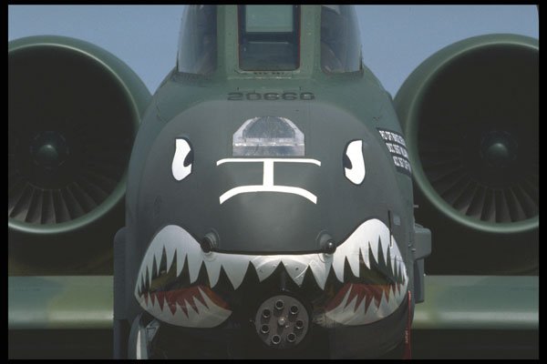 359097 Fairchild Republic A 10A Thunderbolt II, U.S. Air Force A4 Photo Print