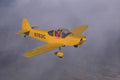 360005 Piel, Emeraude, 1973, Fairfax, MO A4 Photo Print