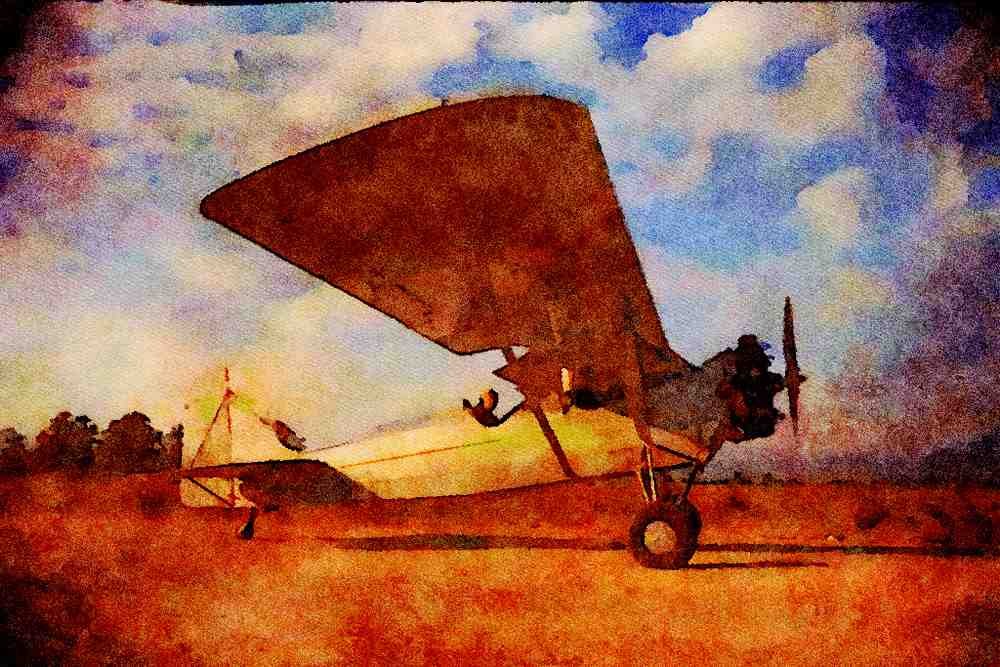 360016 Timm, Collegiate, 1928, Schellville, CA A4 Limited Edition Watercolour Print