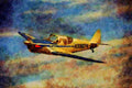 360027 Globe, Swift 1946, Schellville, CA A4 Limited Edition Watercolour Print