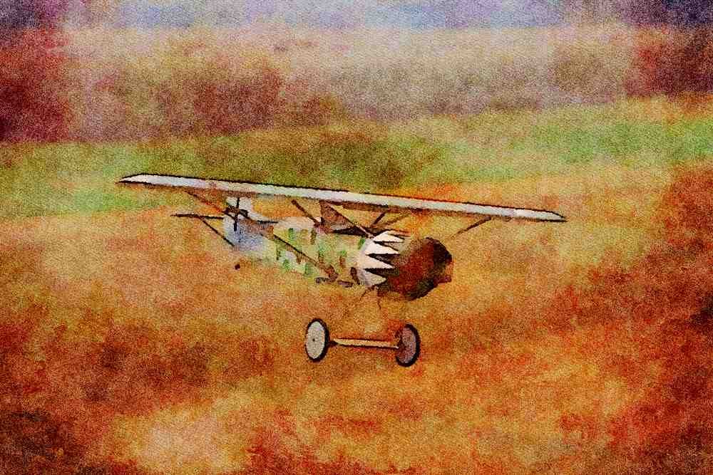 360063 Fokker, D VIII Replica, 1993, Liberty Landing, MO A4 Limited Edition Watercolour Print