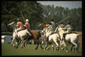 361000 Pony Club Polo A4 Photo Print