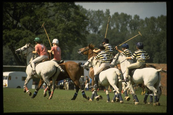 361000 Pony Club Polo A4 Photo Print