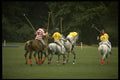 361006 Pony Club Polo A4 Photo Print