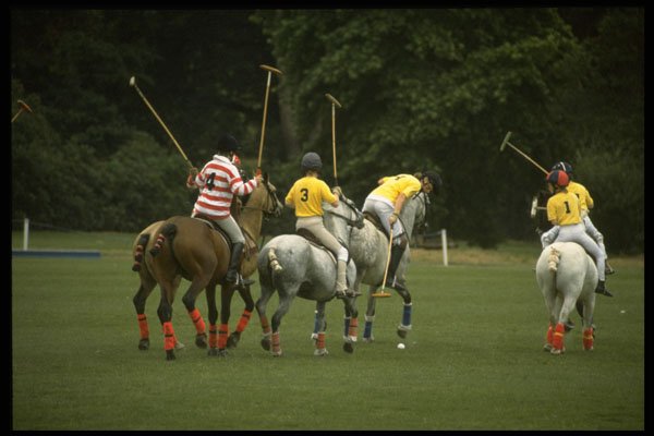 361006 Pony Club Polo A4 Photo Print