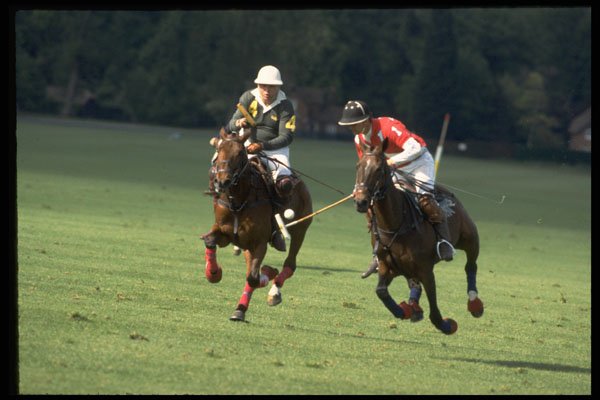 361012 Guards Polo Club '93 A4 Photo Print