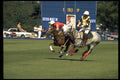 361017 Maple Leafs Vs Aston Martin A4 Photo Print
