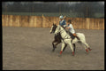 361026 Trish Williamson White Shirt, Gray Pony A4 Photo Print