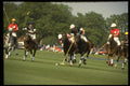 361029 Coworth Park, Maple Leafs Vs Ellerston Blacks A4 Photo Print