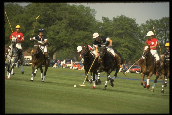 361029 Coworth Park, Maple Leafs Vs Ellerston Blacks A4 Photo Print