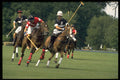 361030 Martin Brown (in Red) And Carlos Gracida (in Black) A4 Photo Print