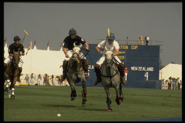 361032 Coronation Cup, England Vs New Zealand A4 Photo Print