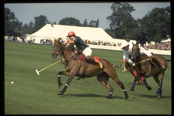361034 Moet Chandon '92, Royal Berils Polo Club Vs Rest Of World A4 Photo Print