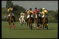 361035 Pendelo Vs Les Lions A4 Photo Print