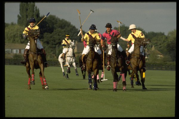 361035 Pendelo Vs Les Lions A4 Photo Print