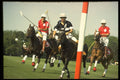 361036 Queen's Cup '92, Maple Leafs Vs Ellerston Blacks A4 Photo Print