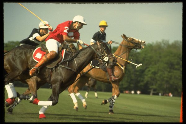 361037 Queen's Cup '92, Maple Leafs Vs Ellerston Blacks A4 Photo Print