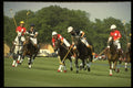 361038 Queen's Cup '92, Maple Leafs Vs Ellerston Blacks A4 Photo Print