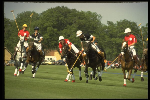 361038 Queen's Cup '92, Maple Leafs Vs Ellerston Blacks A4 Photo Print
